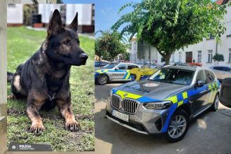 Vylial flasu do kocika ukradol kabelku