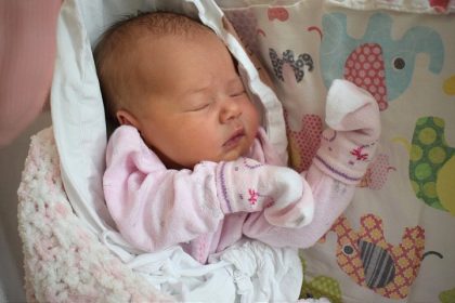 Babence V zavere septembra sa v Trnave narodili nove zivoty