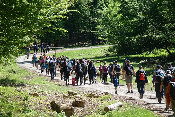 Na Katarinke sa uskutocni tradicna Bielonedelna put ktora otvori novu sezonu